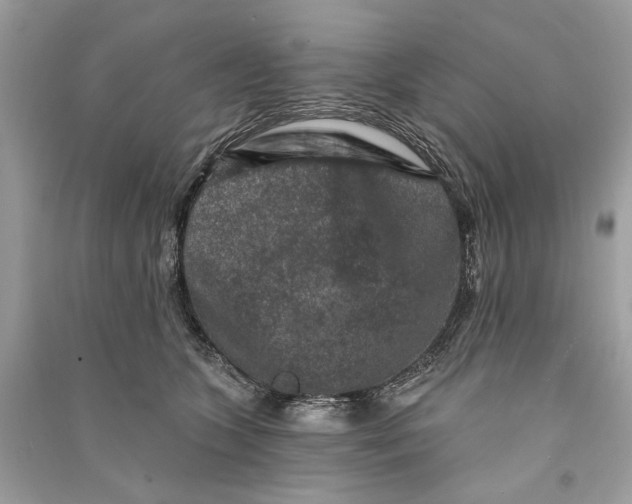 X0000090730563200708101642