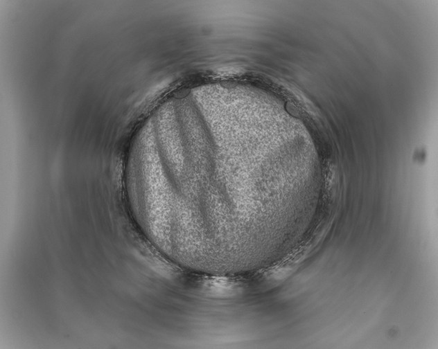 X0000090730565200708101642