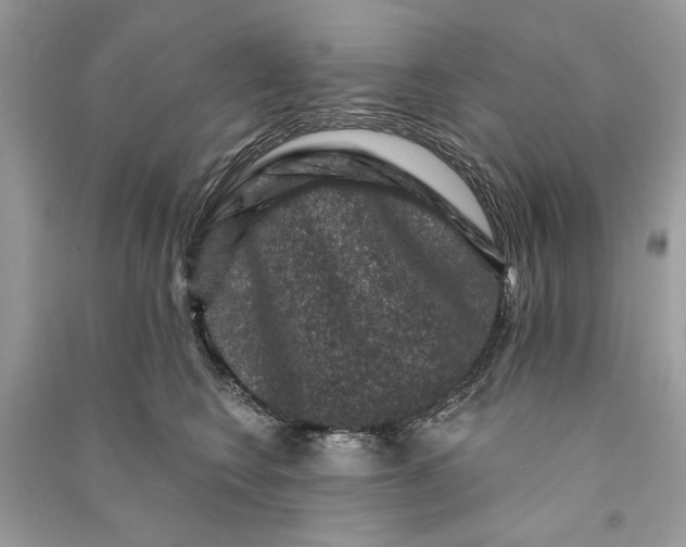 X0000090730566200708101642