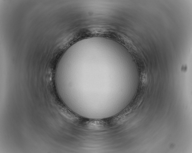 X0000090730567200708101642