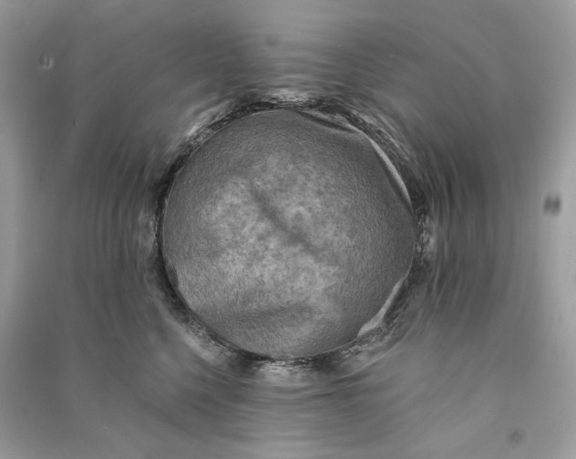 X0000090730568200708101642