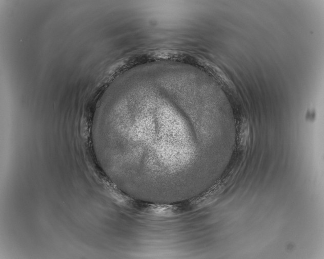 X0000090730569200708101642