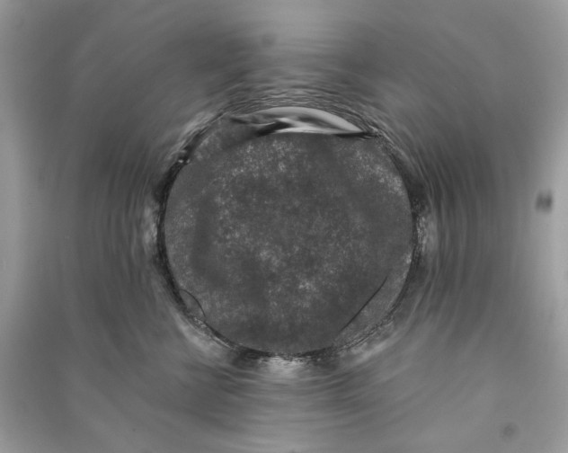 X0000090730570200708101642