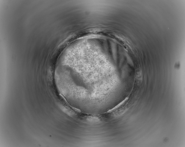 X0000090730572200708101642