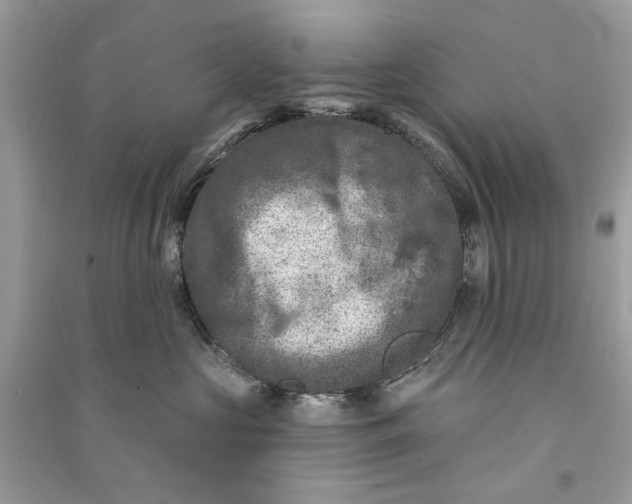 X0000090730573200708101642