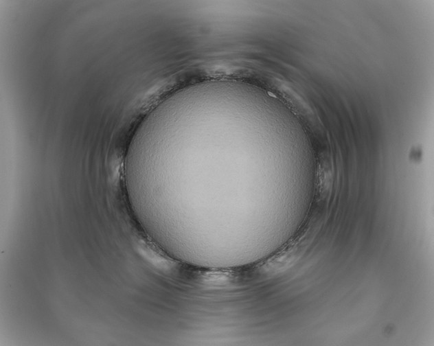 X0000090730574200708101642