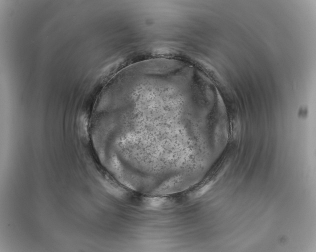 X0000090730575200708101642