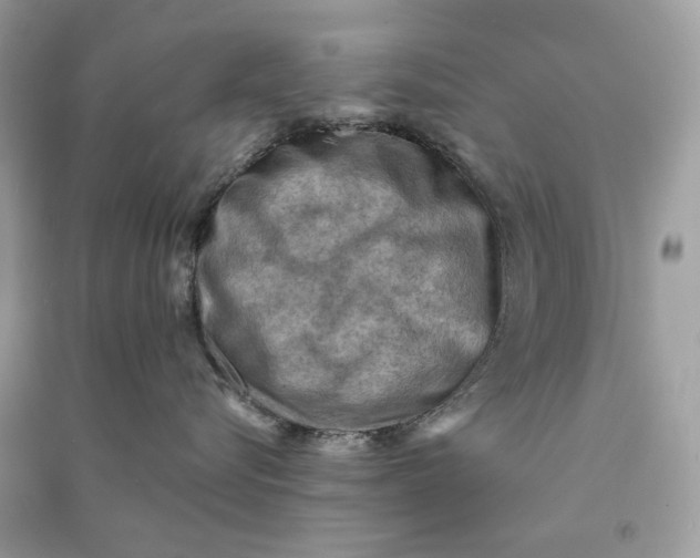 X0000090730576200708101642