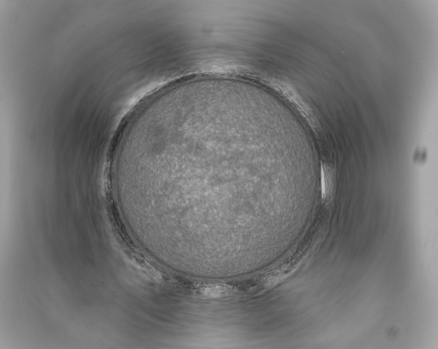 X0000090730579200708101642