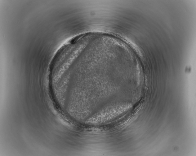 X0000090730580200708101642