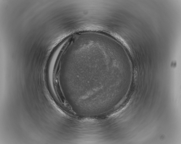 X0000090730581200708101642