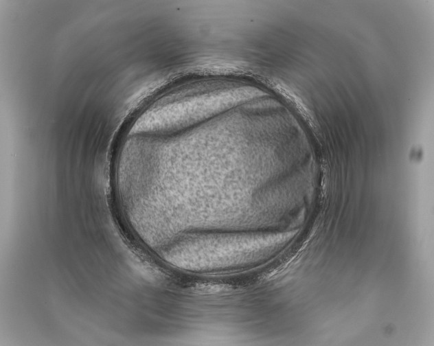 X0000090730582200708101642