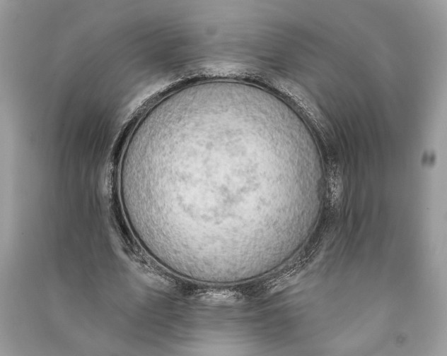 X0000090730583200708101642