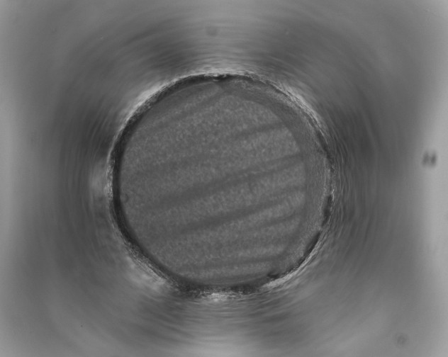 X0000090730584200708101642