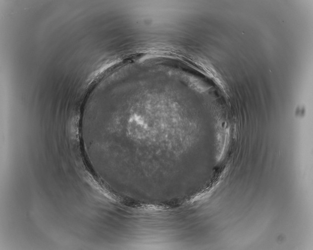 X0000090730585200708101642