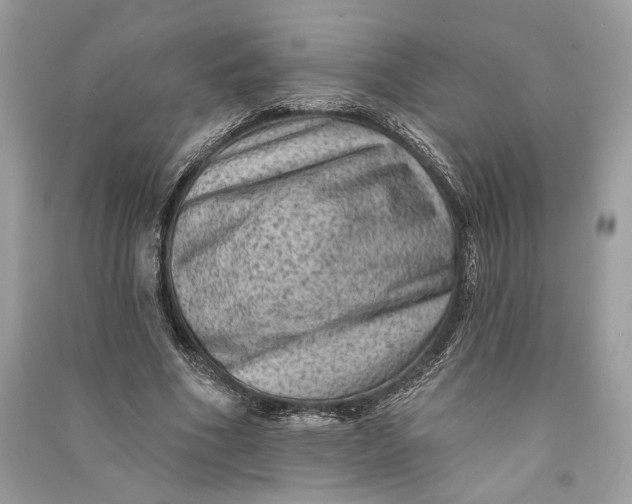 X0000090730586200708101642