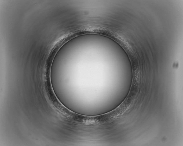 X0000090730587200708101642