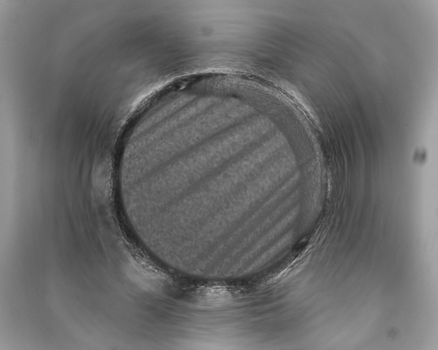 X0000090730588200708101642