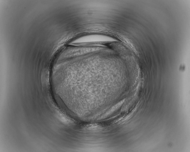 X0000090730589200708101641