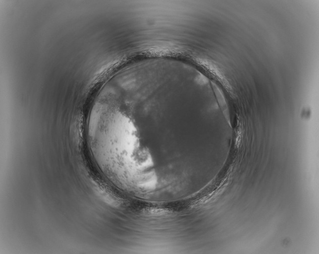 X0000090730590200708101641