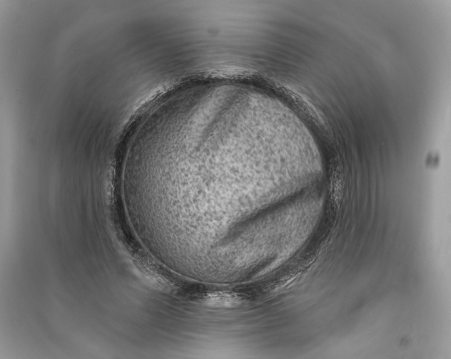 X0000090730591200708101641