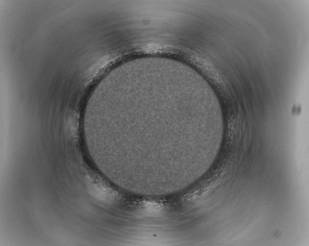 X0000090730592200708101641