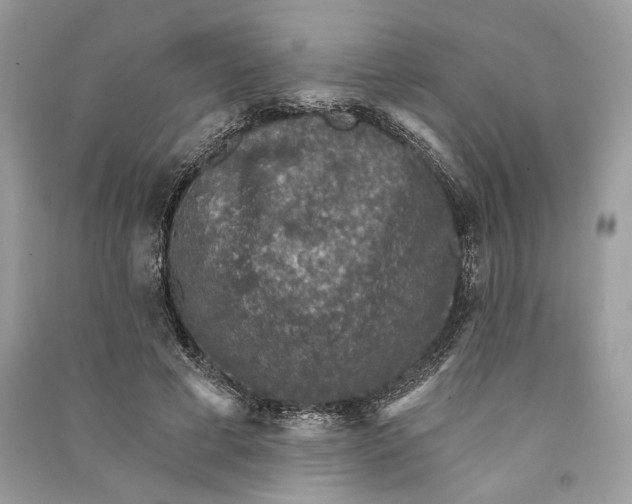 X0000090730593200708101641