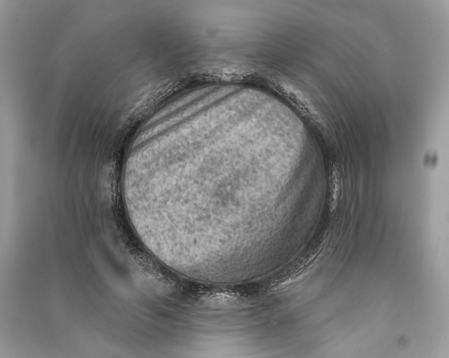 X0000090730594200708101641