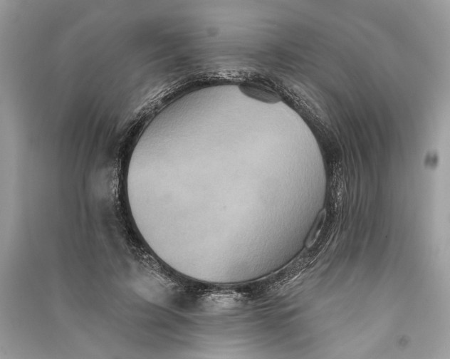 X0000090730595200708101641