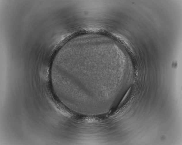 X0000090730596200708101641