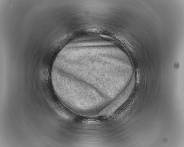 X0000090730597200708101641