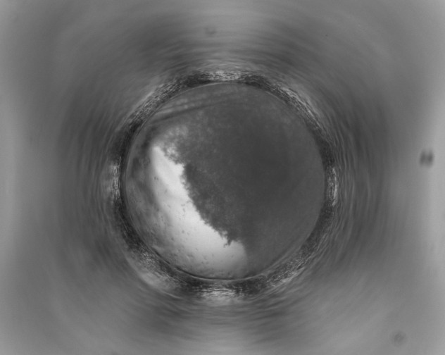 X0000090730598200708101641