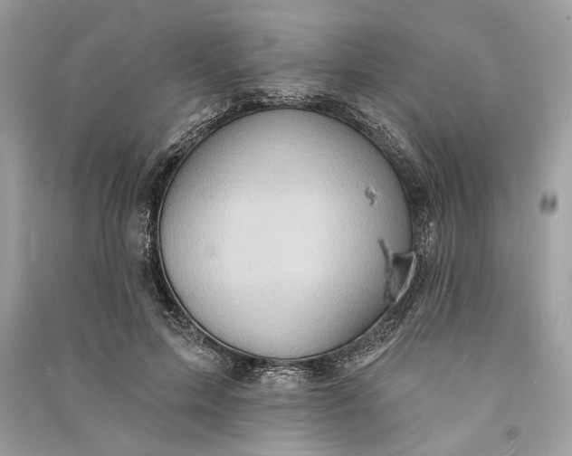 X0000090730599200708101641