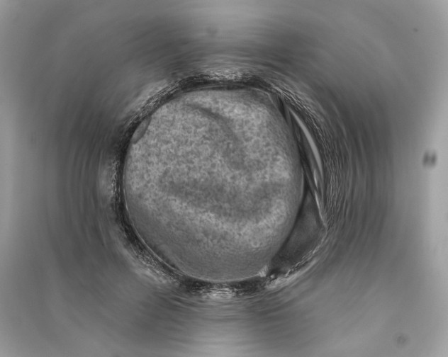 X0000090730600200708101641