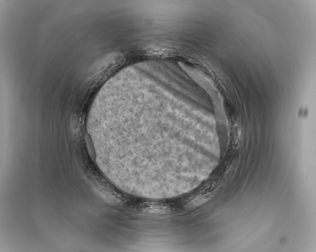 X0000090730601200708101641