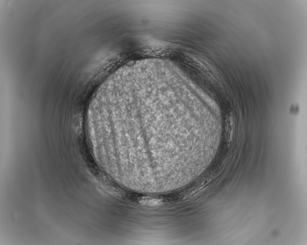 X0000090730602200708101641