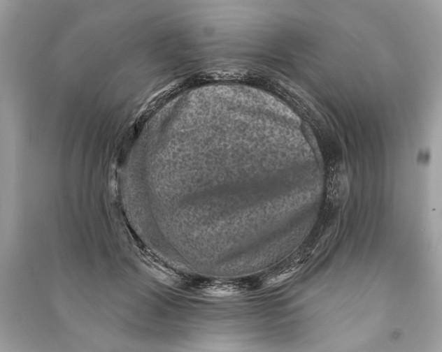 X0000090730604200708101641