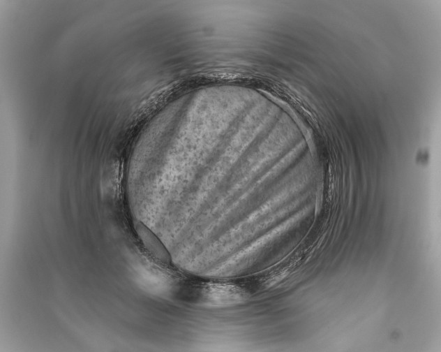 X0000090730605200708101641