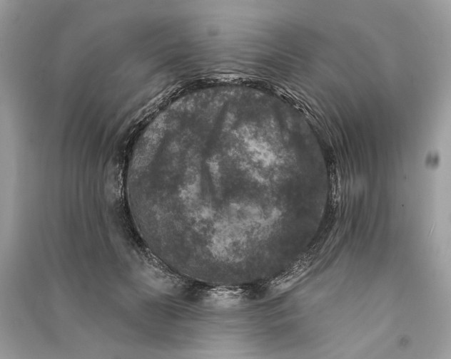 X0000090730606200708101641