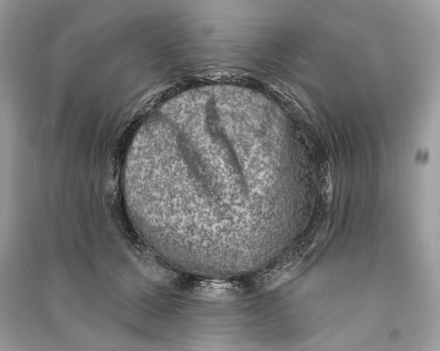 X0000090730607200708101641