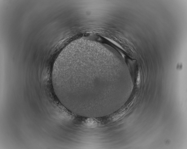 X0000090730608200708101641