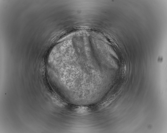 X0000090730609200708101641