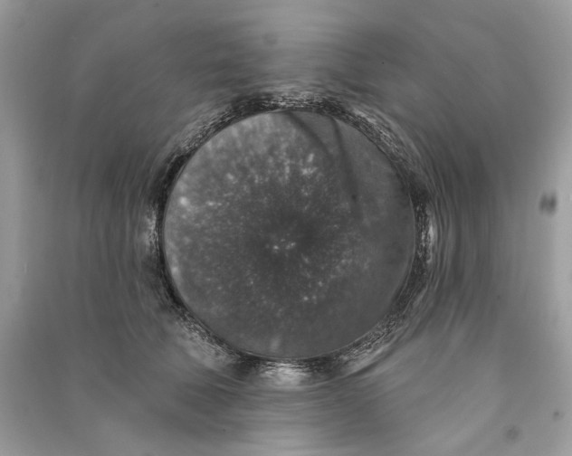 X0000090730610200708101641