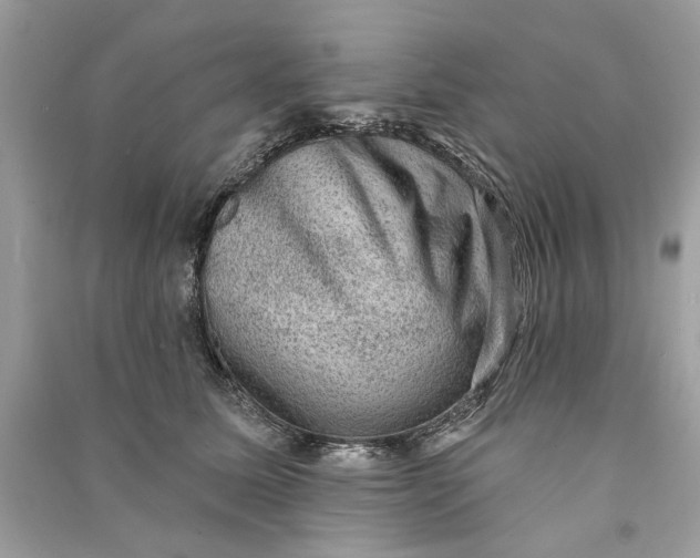 X0000090730611200708101641