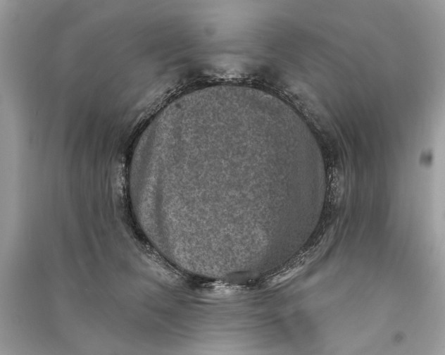 X0000090730612200708101641