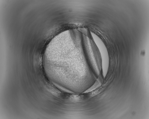 X0000090730613200708101641