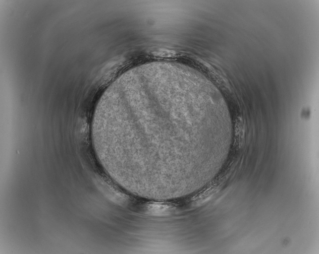 X0000090730614200708101641