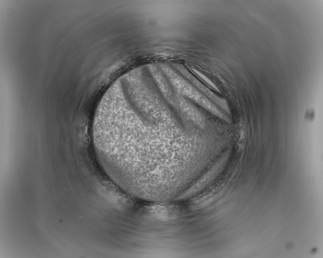 X0000090730615200708101641