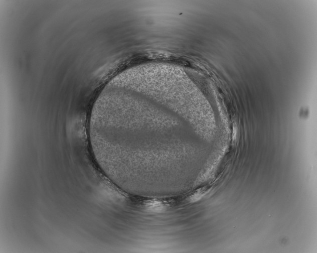 X0000090730616200708101641