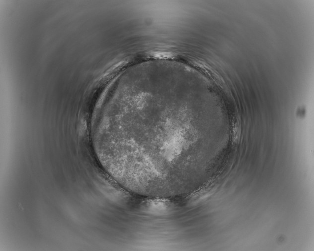 X0000090730618200708101641